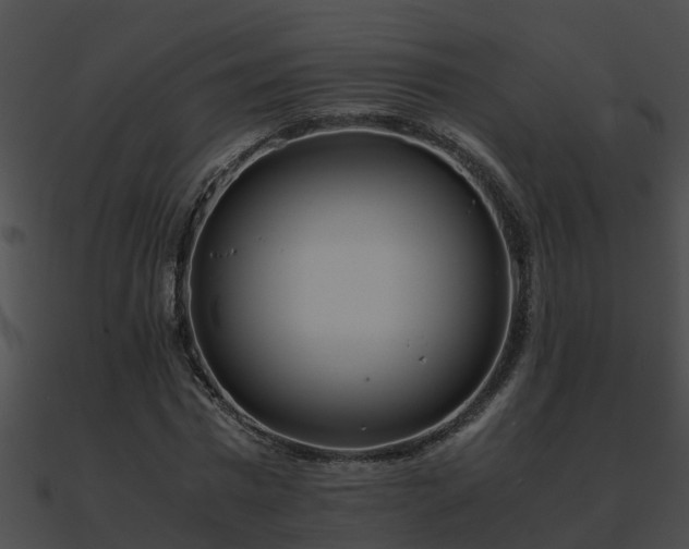 X0000090860777200708030947