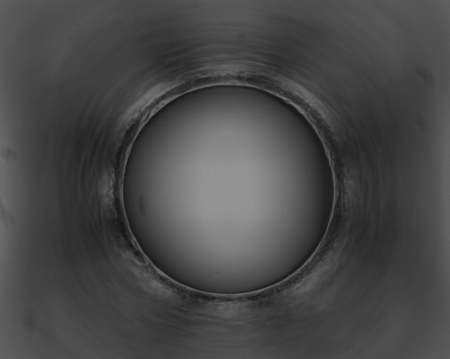 X0000090860778200708030947