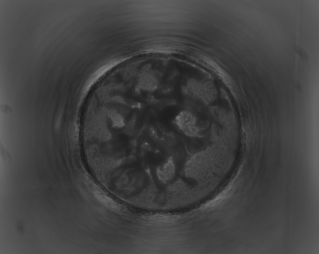 X0000090860779200708030947