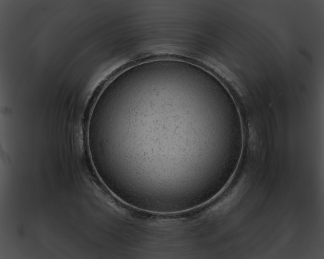 X0000090860782200708030946