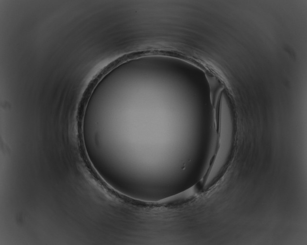 X0000090860784200708030946