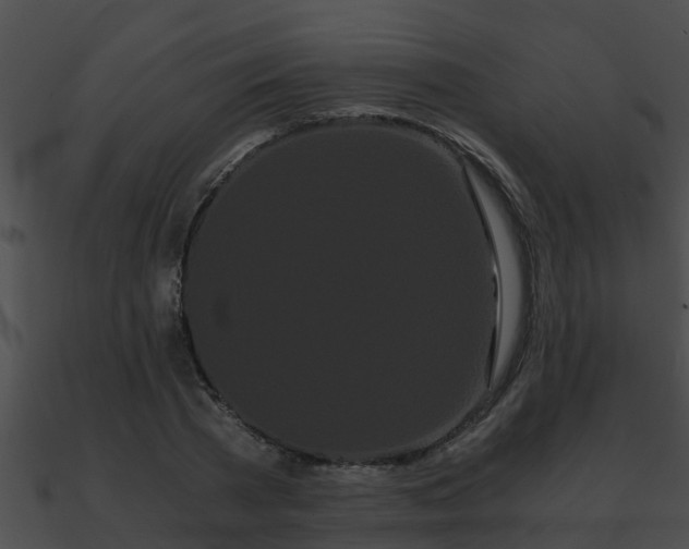 X0000090860785200708030946