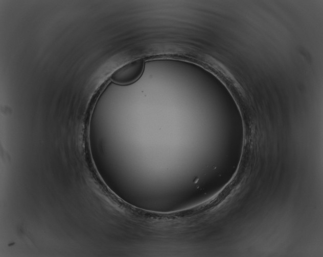 X0000090860786200708030946