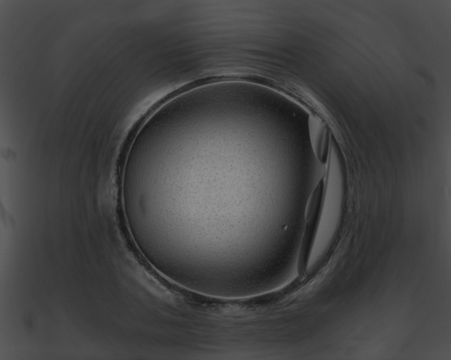 X0000090860787200708030946