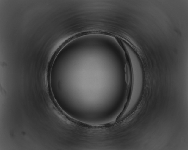 X0000090860788200708030946