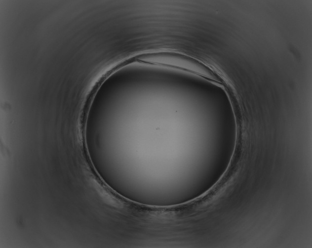 X0000090860789200708030946