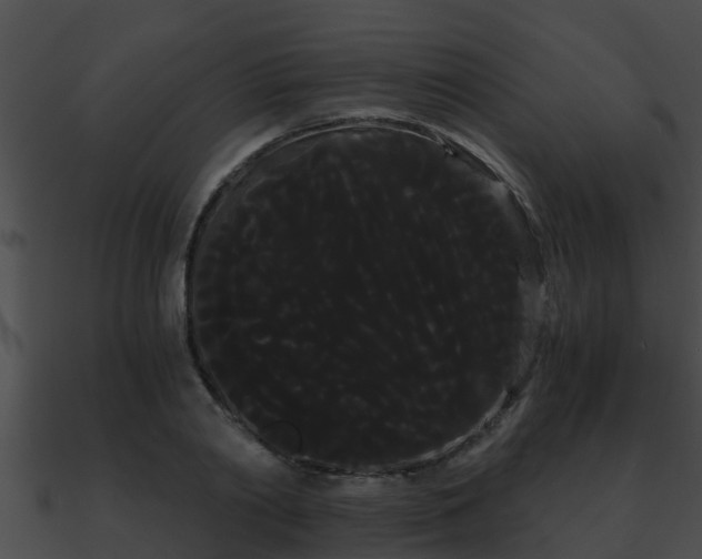 X0000090860790200708030946