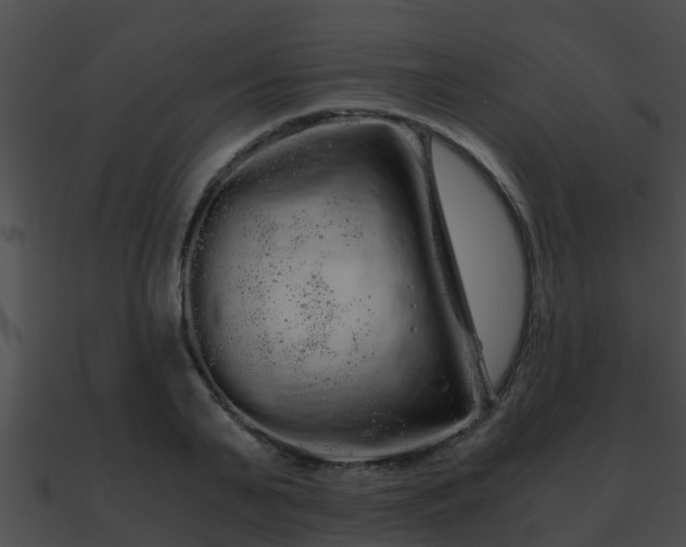X0000090860791200708030946