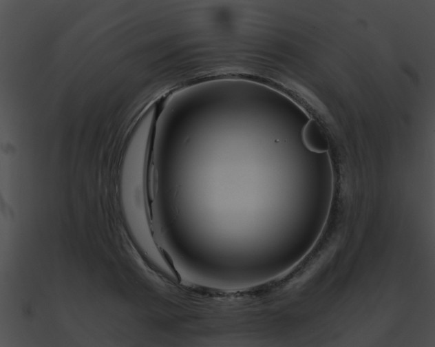 X0000090860793200708030946
