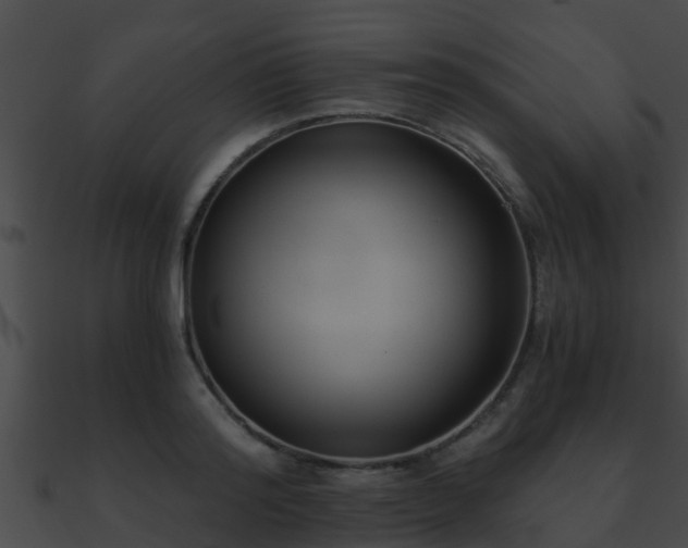 X0000090860796200708030946