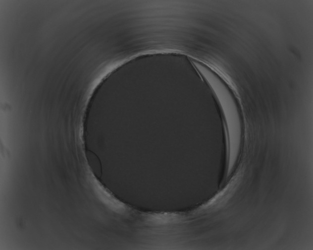 X0000090860797200708030946