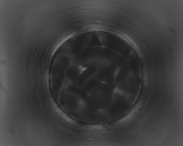 X0000090860798200708030946