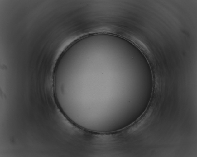 X0000090860800200708030946