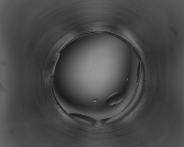 X0000090860801200708030946