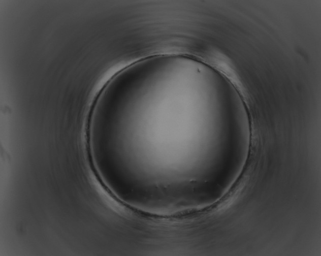 X0000090860803200708030946