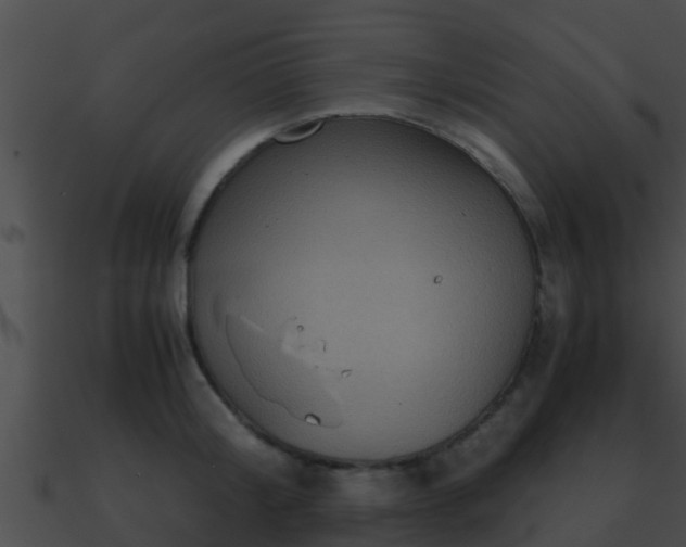X0000090860804200708030946