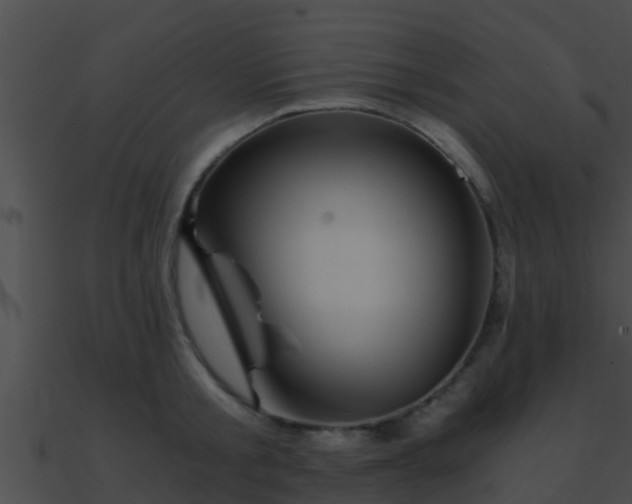 X0000090860805200708030946