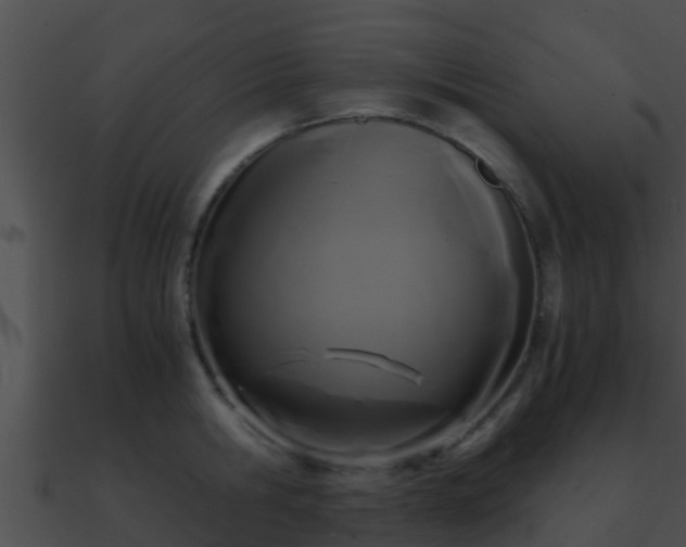 X0000090860806200708030946