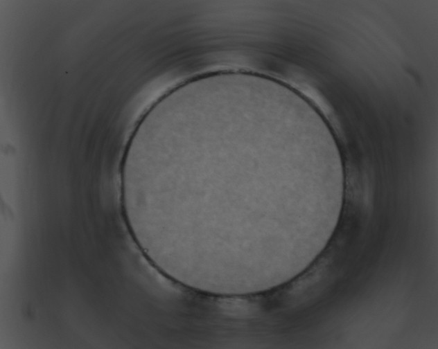 X0000090860807200708030946