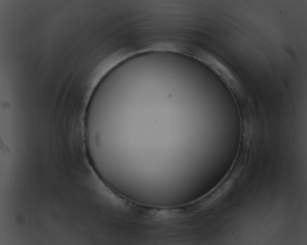 X0000090860808200708030946