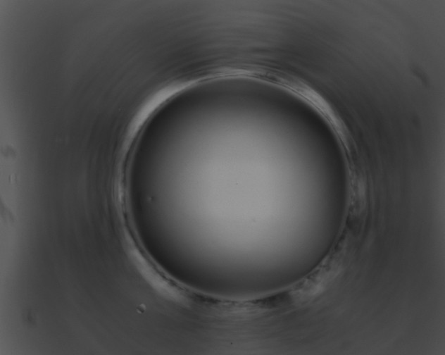 X0000090860811200708030946