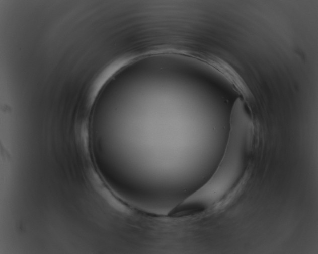 X0000090860812200708030946
