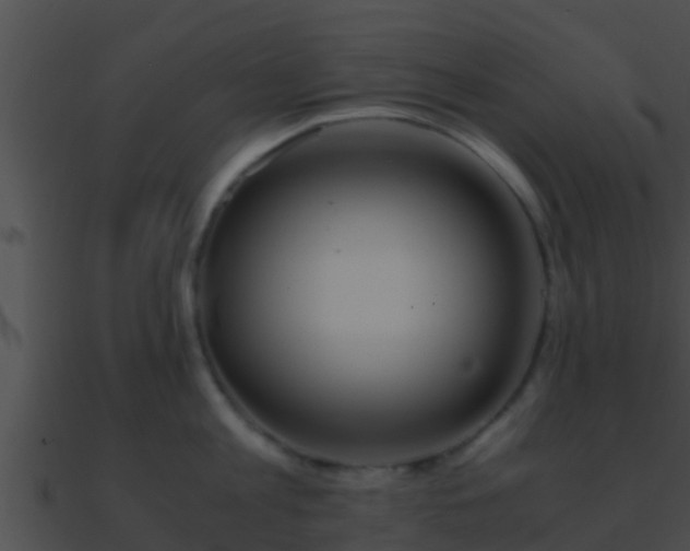 X0000090860813200708030946