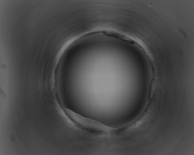 X0000090860815200708030946