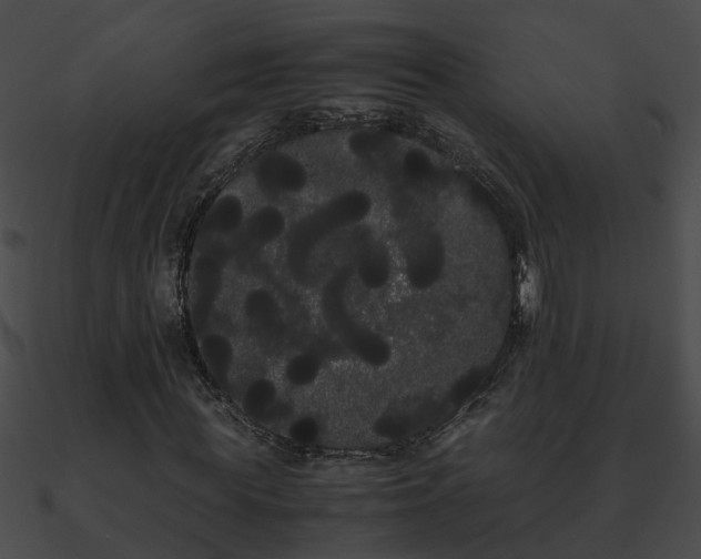 X0000090860819200708030945