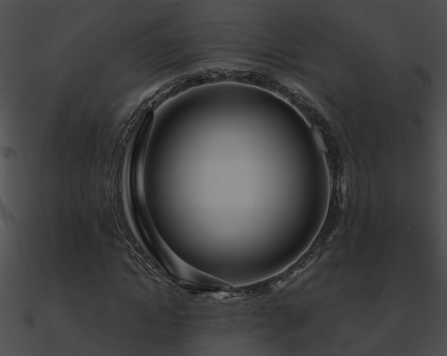X0000090860822200708030946