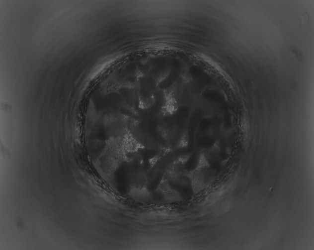 X0000090860823200708030946