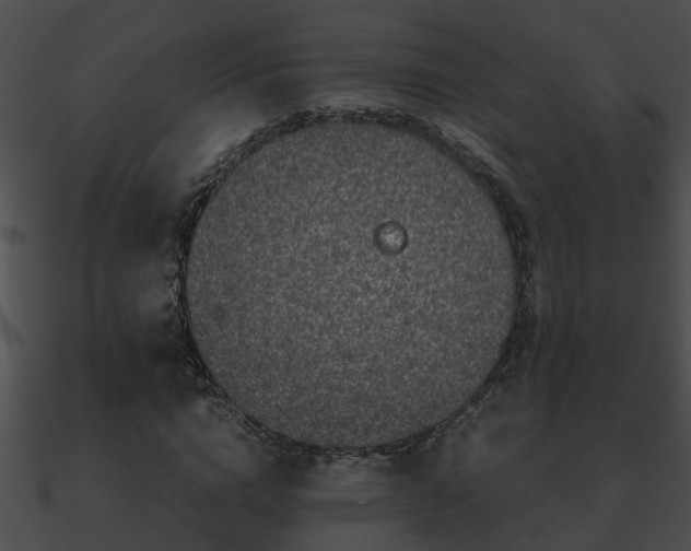 X0000090860824200708030946