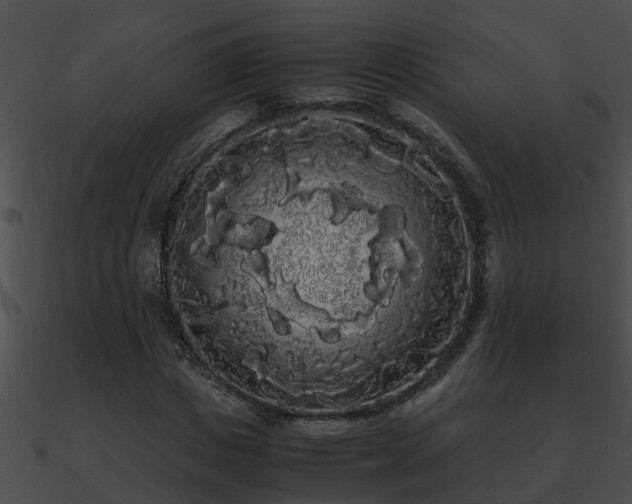 X0000090860825200708030946
