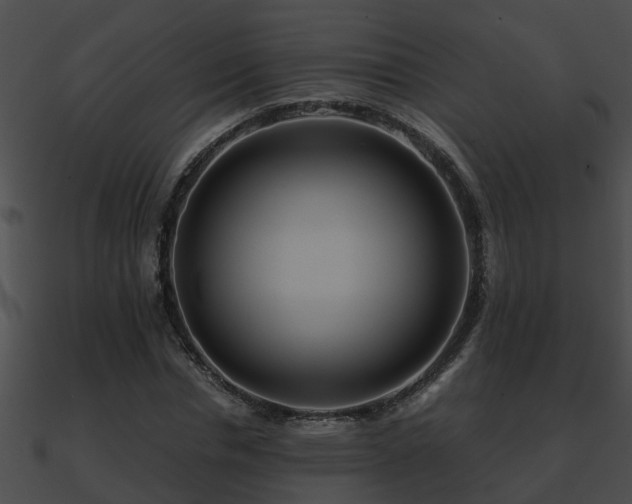 X0000090860826200708030946