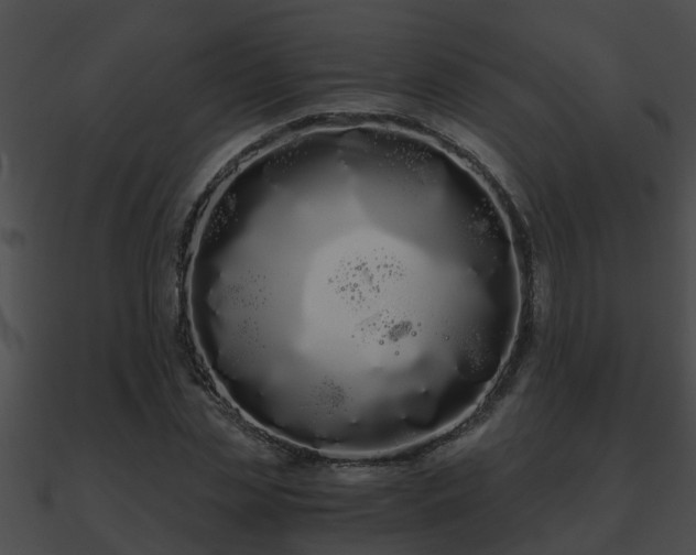 X0000090860829200708030946