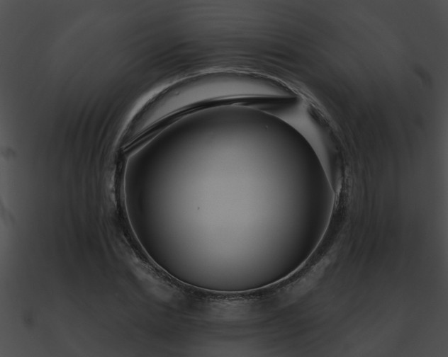 X0000090860830200708030946