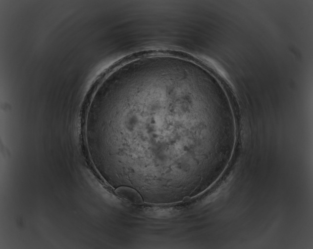 X0000090860831200708030946