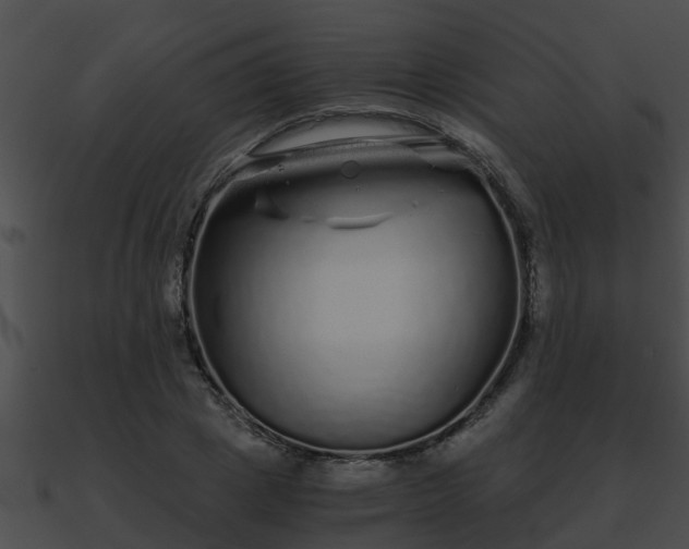 X0000090860833200708030946