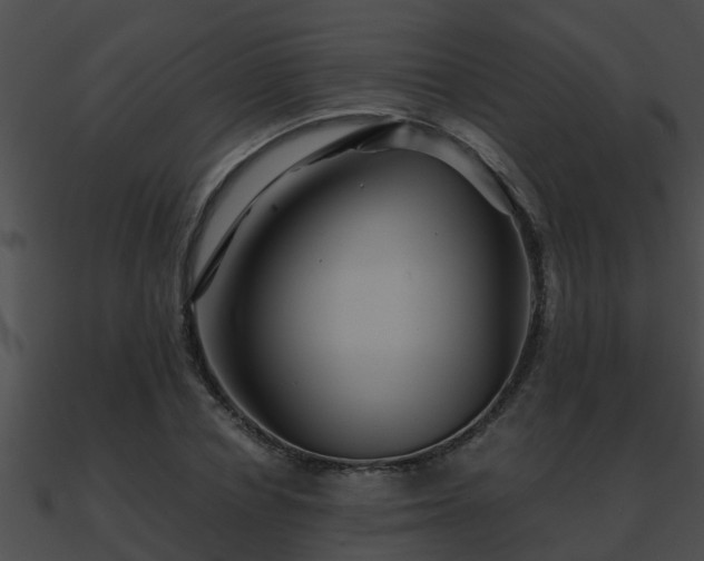 X0000090860834200708030946