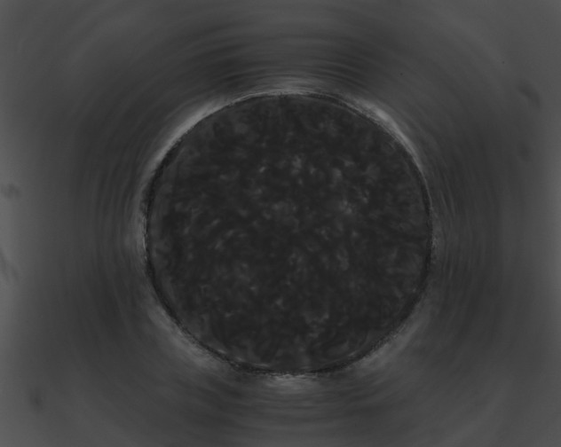 X0000090860835200708030946