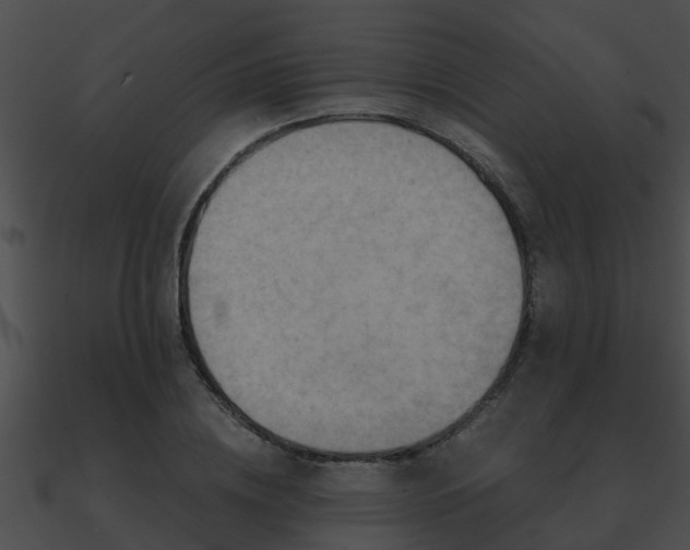 X0000090860836200708030946