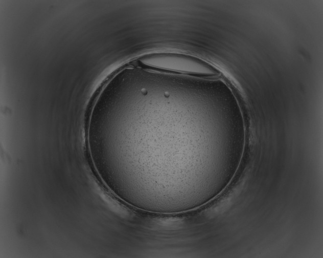 X0000090860837200708030946