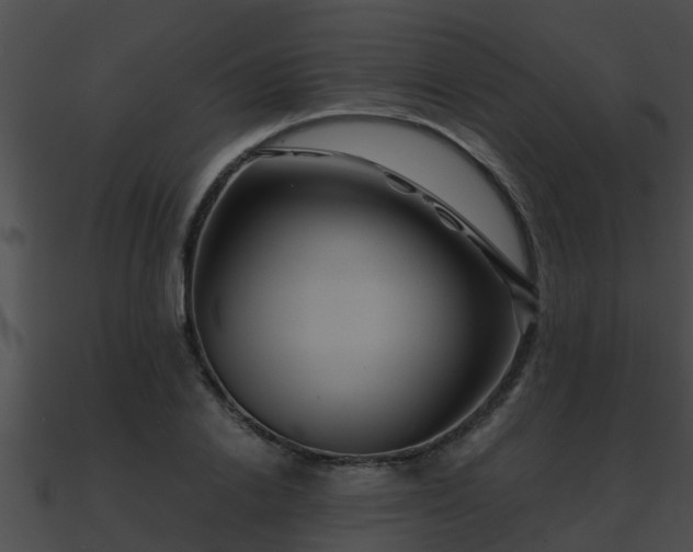 X0000090860838200708030946