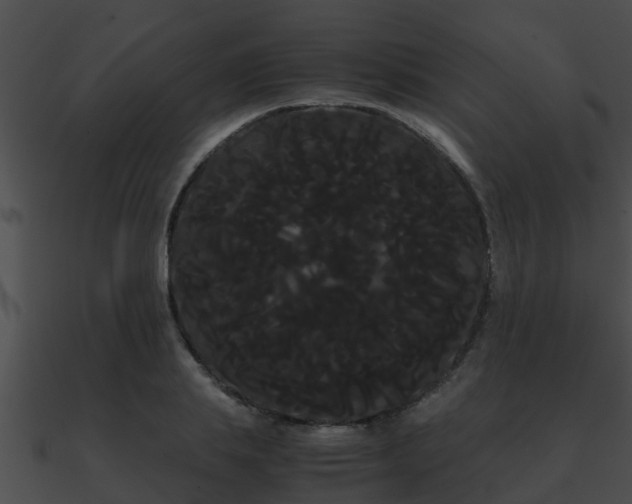 X0000090860839200708030946