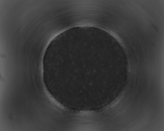 X0000090860840200708030946