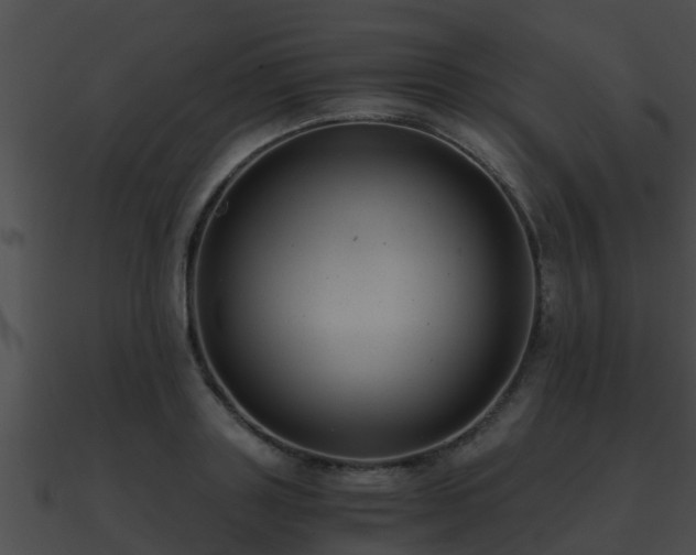 X0000090860843200708030946