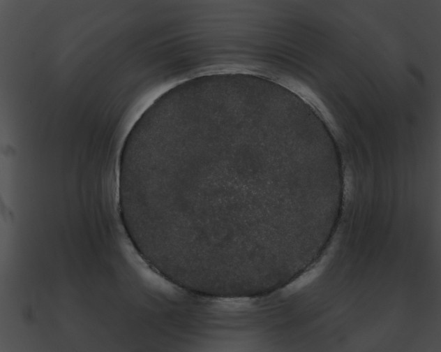 X0000090860844200708030946