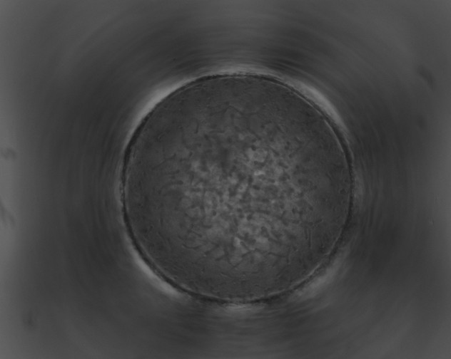 X0000090860847200708030946