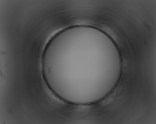 X0000090860848200708030946