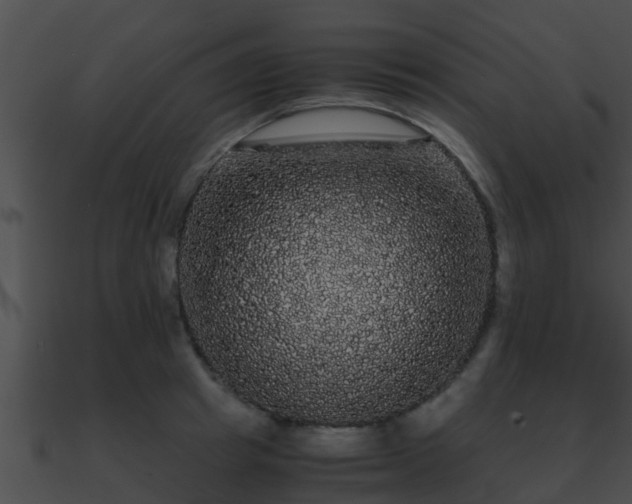 X0000090860849200708030946